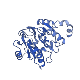 29263_8fl0_SK_v1-1
Human nucleolar pre-60S ribosomal subunit (State H)