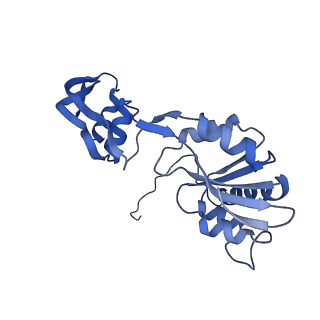 29263_8fl0_SQ_v1-1
Human nucleolar pre-60S ribosomal subunit (State H)