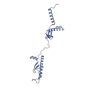 29263_8fl0_ST_v1-1
Human nucleolar pre-60S ribosomal subunit (State H)