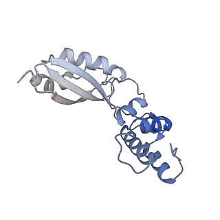 29265_8fl2_BA_v1-1
Human nuclear pre-60S ribosomal subunit (State I1)