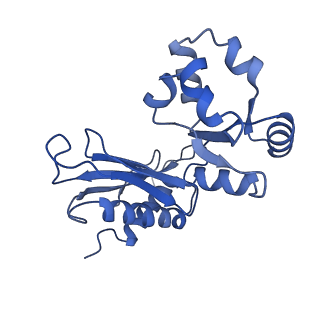 29265_8fl2_BB_v1-1
Human nuclear pre-60S ribosomal subunit (State I1)