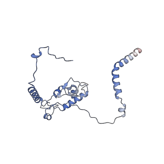 29265_8fl2_L6_v1-1
Human nuclear pre-60S ribosomal subunit (State I1)