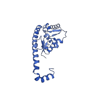 29265_8fl2_L7_v1-1
Human nuclear pre-60S ribosomal subunit (State I1)