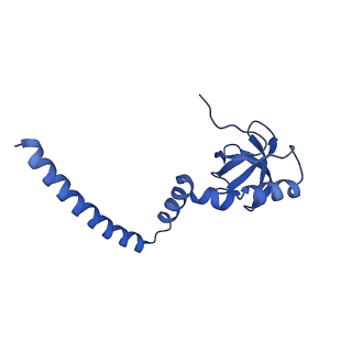 29265_8fl2_L8_v1-1
Human nuclear pre-60S ribosomal subunit (State I1)