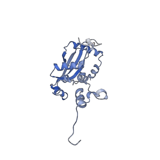 29265_8fl2_L9_v1-1
Human nuclear pre-60S ribosomal subunit (State I1)