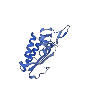 29265_8fl2_LA_v1-1
Human nuclear pre-60S ribosomal subunit (State I1)