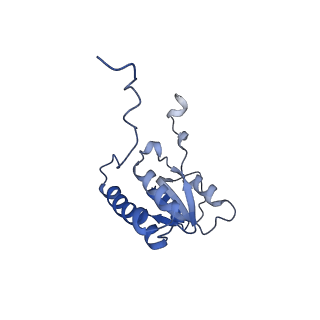 29265_8fl2_LB_v1-1
Human nuclear pre-60S ribosomal subunit (State I1)