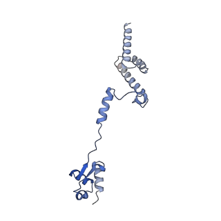 29265_8fl2_LD_v1-1
Human nuclear pre-60S ribosomal subunit (State I1)