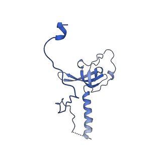 29265_8fl2_LE_v1-1
Human nuclear pre-60S ribosomal subunit (State I1)