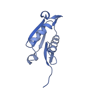 29265_8fl2_LF_v1-1
Human nuclear pre-60S ribosomal subunit (State I1)