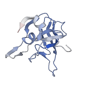 29265_8fl2_LG_v1-1
Human nuclear pre-60S ribosomal subunit (State I1)