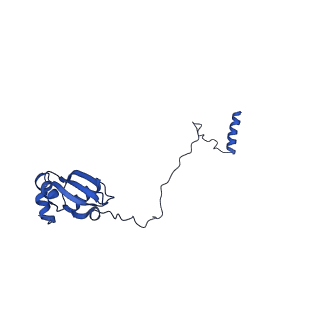 29265_8fl2_LH_v1-1
Human nuclear pre-60S ribosomal subunit (State I1)
