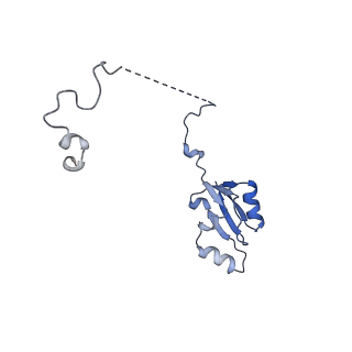29265_8fl2_LK_v1-1
Human nuclear pre-60S ribosomal subunit (State I1)