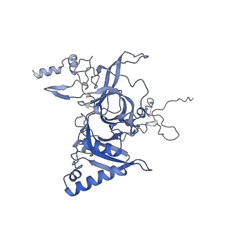 29265_8fl2_LN_v1-1
Human nuclear pre-60S ribosomal subunit (State I1)