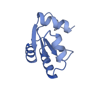 29265_8fl2_LO_v1-1
Human nuclear pre-60S ribosomal subunit (State I1)