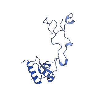 29265_8fl2_LQ_v1-1
Human nuclear pre-60S ribosomal subunit (State I1)
