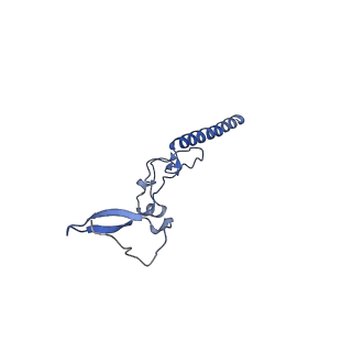 29265_8fl2_LR_v1-1
Human nuclear pre-60S ribosomal subunit (State I1)