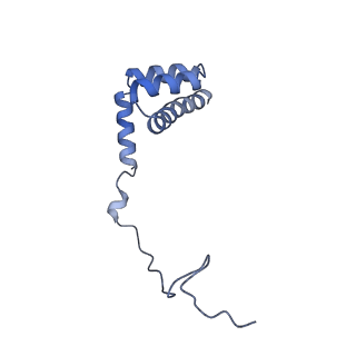 29265_8fl2_LU_v1-1
Human nuclear pre-60S ribosomal subunit (State I1)