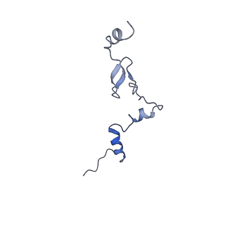 29265_8fl2_LW_v1-1
Human nuclear pre-60S ribosomal subunit (State I1)