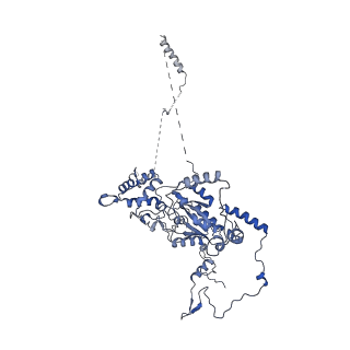 29265_8fl2_NC_v1-1
Human nuclear pre-60S ribosomal subunit (State I1)