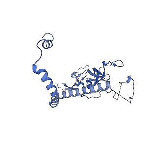 29265_8fl2_NF_v1-1
Human nuclear pre-60S ribosomal subunit (State I1)