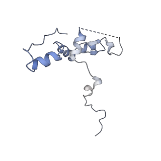 29265_8fl2_NP_v1-1
Human nuclear pre-60S ribosomal subunit (State I1)