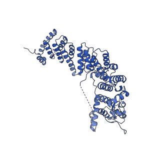 29265_8fl2_NT_v1-1
Human nuclear pre-60S ribosomal subunit (State I1)