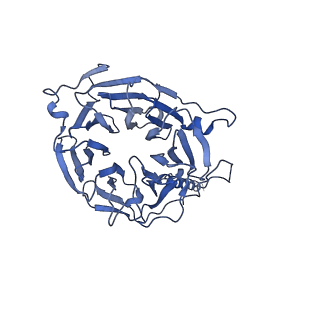 29265_8fl2_NV_v1-1
Human nuclear pre-60S ribosomal subunit (State I1)