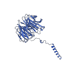 29265_8fl2_NW_v1-1
Human nuclear pre-60S ribosomal subunit (State I1)