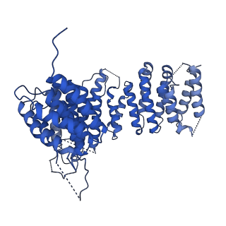 29265_8fl2_NX_v1-1
Human nuclear pre-60S ribosomal subunit (State I1)