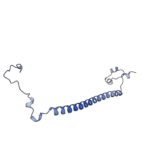 29265_8fl2_NZ_v1-1
Human nuclear pre-60S ribosomal subunit (State I1)