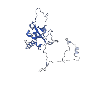 29265_8fl2_SC_v1-1
Human nuclear pre-60S ribosomal subunit (State I1)