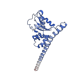 29265_8fl2_SD_v1-1
Human nuclear pre-60S ribosomal subunit (State I1)