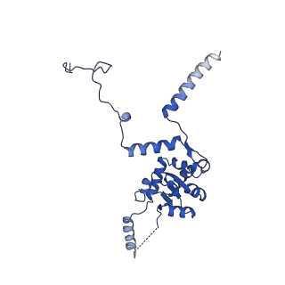 29265_8fl2_SE_v1-1
Human nuclear pre-60S ribosomal subunit (State I1)