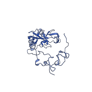 29265_8fl2_SF_v1-1
Human nuclear pre-60S ribosomal subunit (State I1)