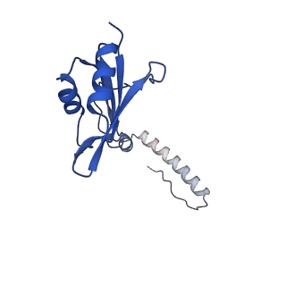 29265_8fl2_SH_v1-1
Human nuclear pre-60S ribosomal subunit (State I1)