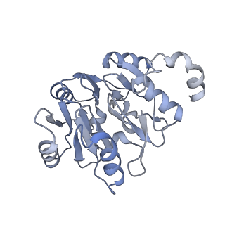 29265_8fl2_SK_v1-1
Human nuclear pre-60S ribosomal subunit (State I1)
