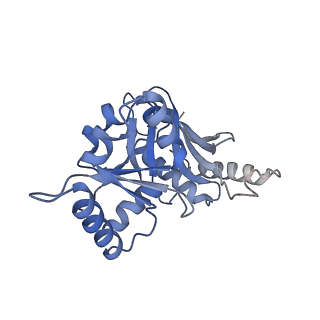 29265_8fl2_SL_v1-1
Human nuclear pre-60S ribosomal subunit (State I1)