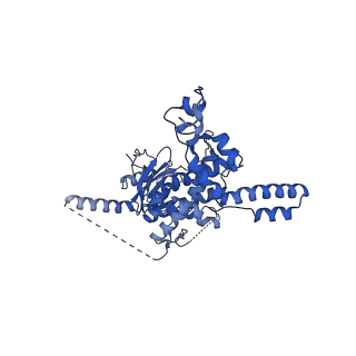 29265_8fl2_SM_v1-1
Human nuclear pre-60S ribosomal subunit (State I1)