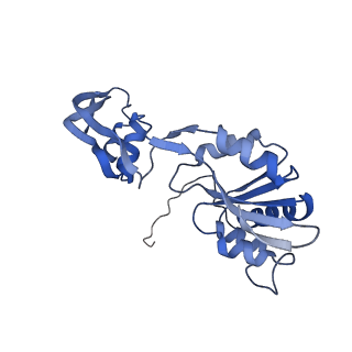 29265_8fl2_SQ_v1-1
Human nuclear pre-60S ribosomal subunit (State I1)