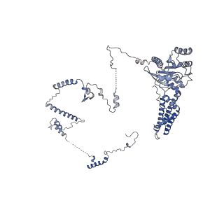 29265_8fl2_SR_v1-1
Human nuclear pre-60S ribosomal subunit (State I1)