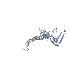 29265_8fl2_SV_v1-1
Human nuclear pre-60S ribosomal subunit (State I1)