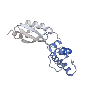 29266_8fl3_BA_v1-1
Human nuclear pre-60S ribosomal subunit (State I2)