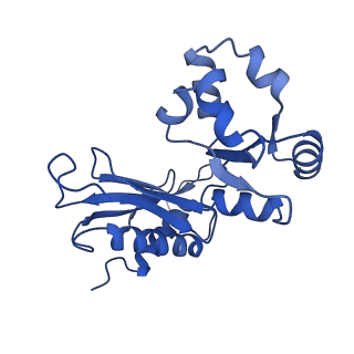 29266_8fl3_BB_v1-1
Human nuclear pre-60S ribosomal subunit (State I2)