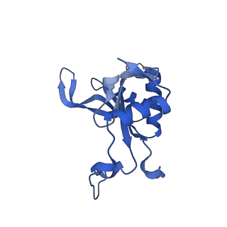 29266_8fl3_L5_v1-1
Human nuclear pre-60S ribosomal subunit (State I2)