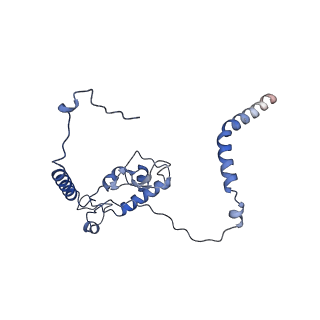 29266_8fl3_L6_v1-1
Human nuclear pre-60S ribosomal subunit (State I2)