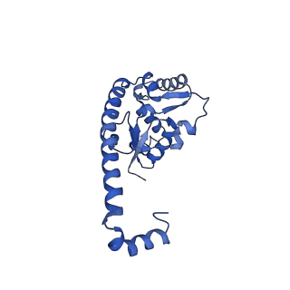 29266_8fl3_L7_v1-1
Human nuclear pre-60S ribosomal subunit (State I2)