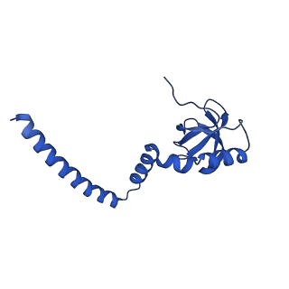 29266_8fl3_L8_v1-1
Human nuclear pre-60S ribosomal subunit (State I2)