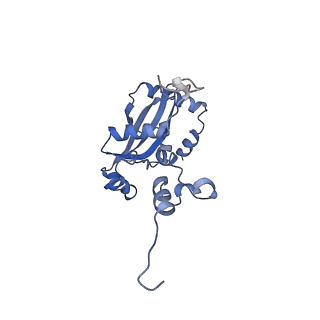 29266_8fl3_L9_v1-1
Human nuclear pre-60S ribosomal subunit (State I2)