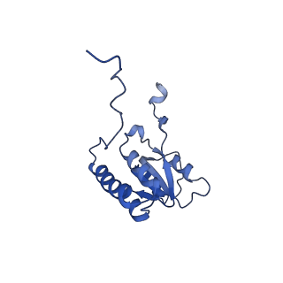 29266_8fl3_LB_v1-1
Human nuclear pre-60S ribosomal subunit (State I2)